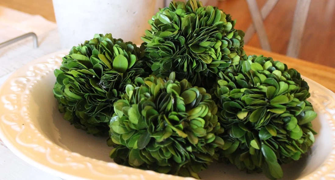 The Beauty of Restraint: Why Timeless Design Still Matters