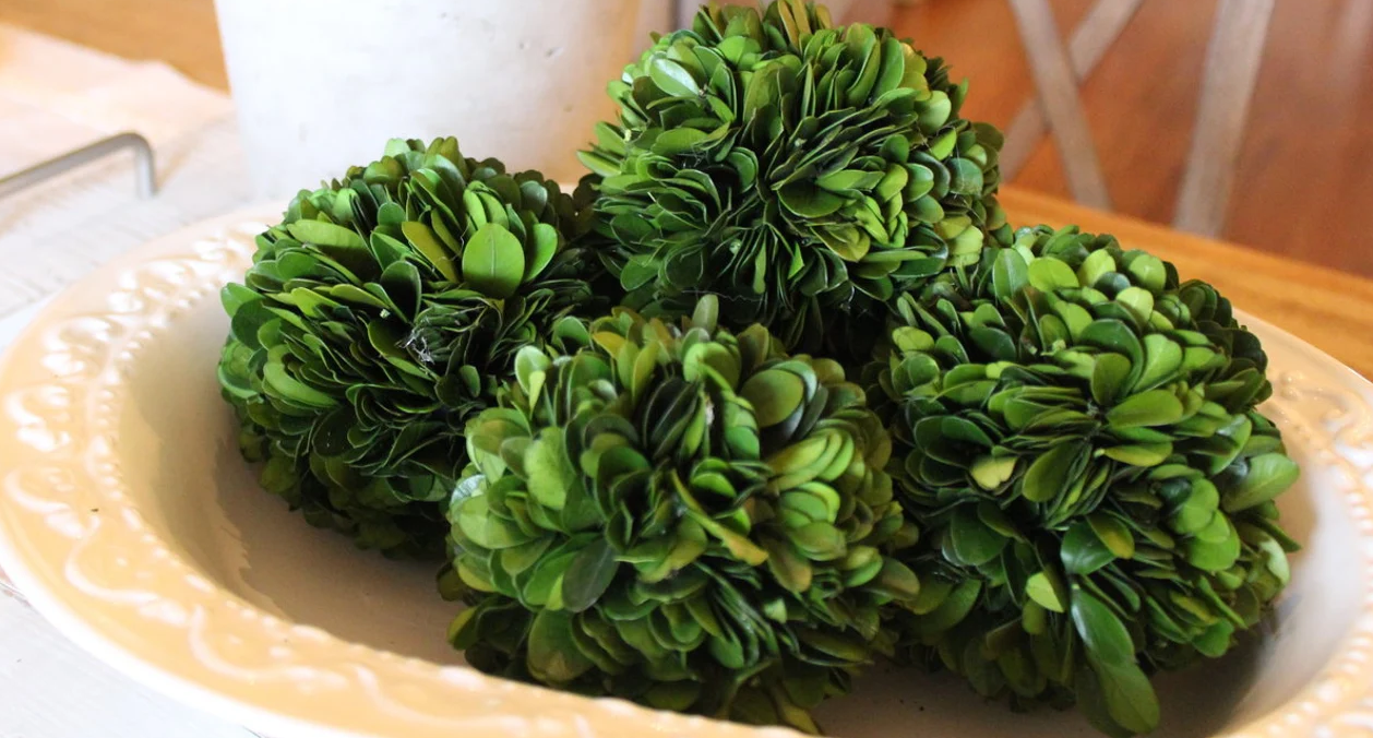 The Beauty of Restraint: Why Timeless Design Still Matters