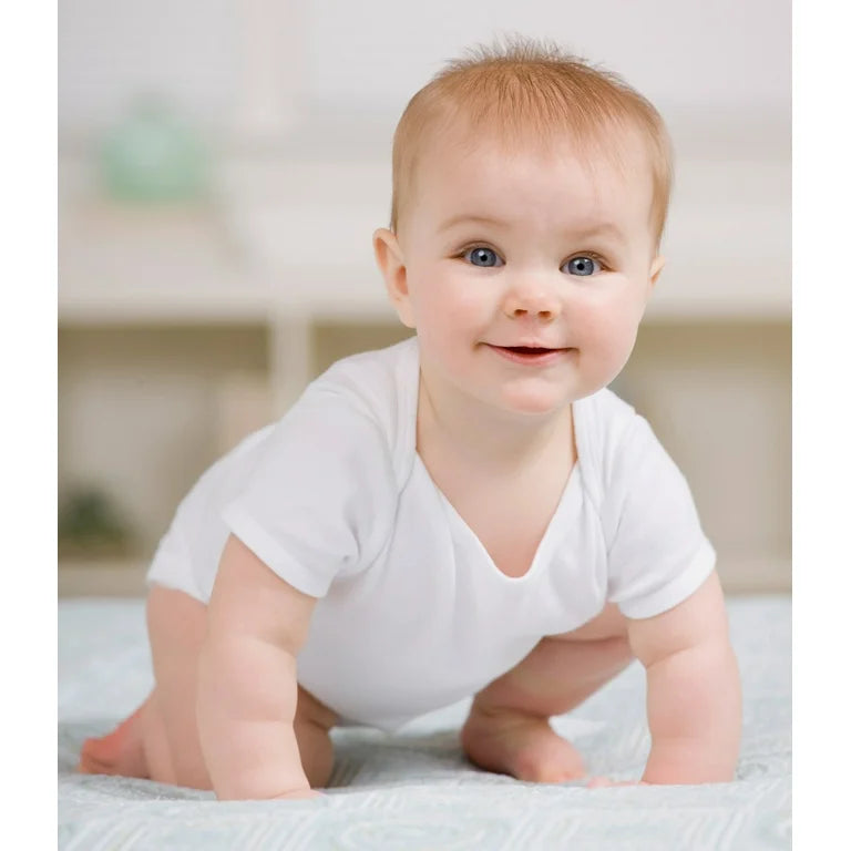 Cotton Rib Knit Short Sleeve Infant Onesie