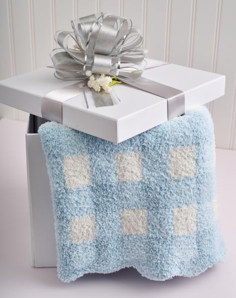 Blue Gingham Chenille Blanket