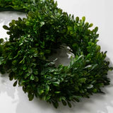 Artificial Boxwood Wreath Set for Indoors or Outdoors