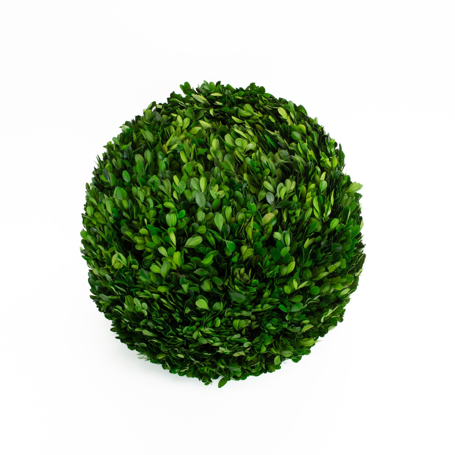 Preserved Boxwood Ball - 16"