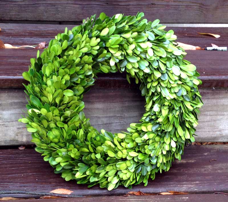 Preserved Boxwood Country Manor Wreath - Round - 20"