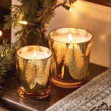 Frasier Fir® Gilded 13 oz Poured Candle